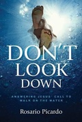 Cover: Don't Look Down - Discipleship Resources