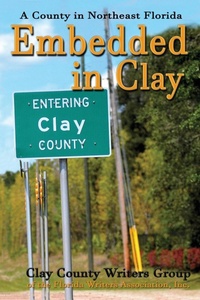 Enlarge image Cover: Embedded in Clay - Global Authors Publishers