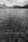 Cover: Conscious Experience - Harvard University Press