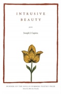 Cover: Intrusive Beauty - Ohio University Press