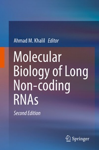 Abbildung von: Molecular Biology of Long Non-coding RNAs - Springer