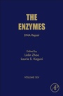 Cover: DNA Repair: Volume 45 - Academic Press