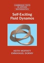 Cover: Self-Exciting Fluid Dynamos - Cambridge University Press