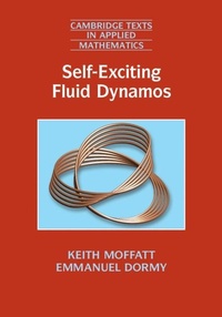 Abbildung von: Self-Exciting Fluid Dynamos - Cambridge University Press