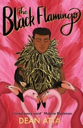 Cover: The Black Flamingo - Hodder Children's Books