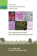 Bild: 62. Jahrestagung der DVG-Fachgruppe Pathologie - DVG Service