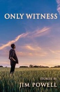Enlarge image Cover: Only Witness - Writers' Center of Indiana