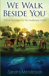 Abbildung von: We Walk Beside You - Sandra Mendelson