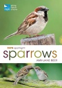 Cover: RSPB Spotlight Sparrows - Bloomsbury Wildlife