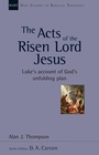 Cover: The Acts of the Risen Lord Jesus - Apollos