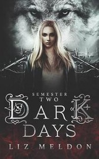 Enlarge image Cover: Dark Days - Liz Meldon Writes