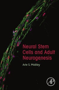 Abbildung von: Neural Stem Cells and Adult Neurogenesis - Academic Press
