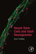 Bild: Neural Stem Cells and Adult Neurogenesis - Academic Press