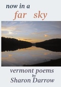 Cover: Now in a Far Sky - Sharon Darrow