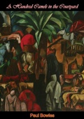Cover: Hundred Camels in the Courtyard - Valmy Publishing