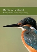 Cover: Birds of Ireland - Appletree Press Ltd