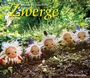 Cover: Zwerge - Freies Geistesleben