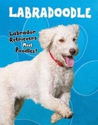 Enlarge image Cover: Top Crossbreed Dogs Pack A of 2 - Raintree