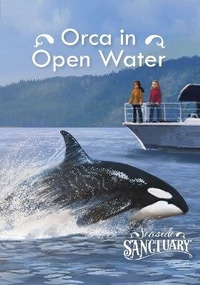 Enlarge image Cover: Orca in Open Water - Raintree