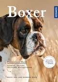 Cover: Boxer - Kosmos