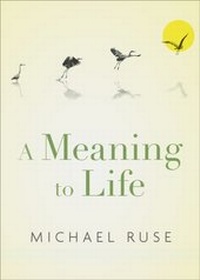 Enlarge image Cover: A Meaning to Life - OUP eBook