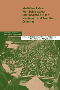 Enlarge image Cover: Mediating Labour - Cambridge University Press