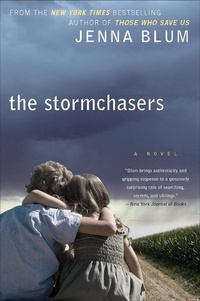 Enlarge image Cover: The Stormchasers - Plume