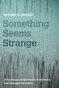 Cover: Something Seems Strange - Wipf and Stock Publishers