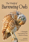 Cover: The World of Burrowing Owls - Amherst Media