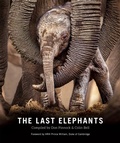 Cover: The Last Elephants - Struik Nature