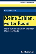 Cover: Kleine Zahlen, weiter Raum - Kohlhammer