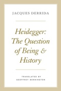 Cover: Heidegger - University of Chicago Press