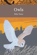 Cover: Owls - William Collins