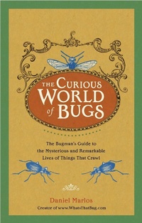 Abbildung von: The Curious World of Bugs - TarcherPerigee