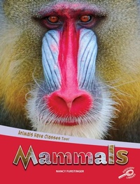 Enlarge image Cover: Animals Have Classes Too! Mammals - Rourke Educational Media