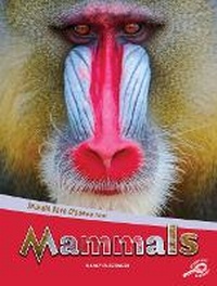 Enlarge image Cover: Animals Have Classes Too! Mammals - Rourke Educational Media