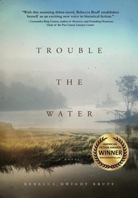 Enlarge image Cover: Trouble The Water - Koehler Books