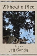 Cover: Without a Plea - Bottom Dog Press