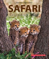 Abbildung von: Safari - Photographie