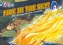 Cover: Fire in the Sky - Collins Educational