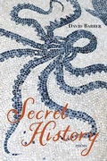 Cover: Secret History - Northwestern University Press
