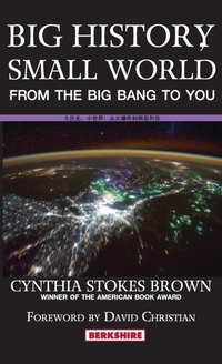 Enlarge image Cover: Big History, Small World - Berkshire Publishing Group
