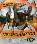 Cover: Velociraptor - Epic