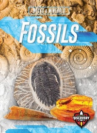 Enlarge image Cover: Fossils - Bellwether Media