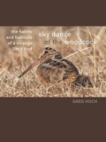 Cover: Sky Dance of the Woodcock - University Of Iowa Press