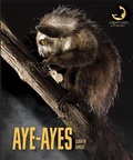 Cover: Aye-Ayes - Creative Education