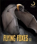 Cover: Flying Foxes - Creative Education