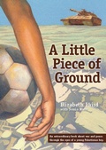 Cover: A Little Piece of Ground - Haymarket Books