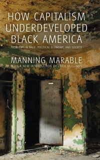 Enlarge image Cover: How Capitalism Underdeveloped Black America - Haymarket Books