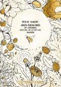 Cover: Folk Magic and Healing - Liminal 11